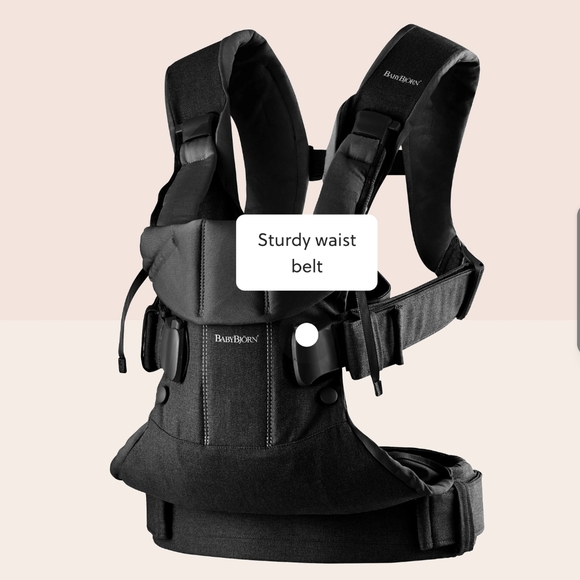 BabyBjorn Other - BABYBJORN BABY ONE